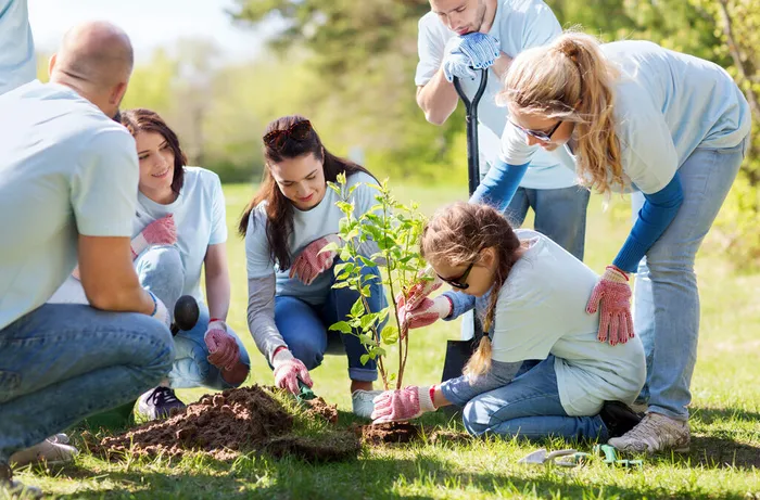 shutterstock_467760488