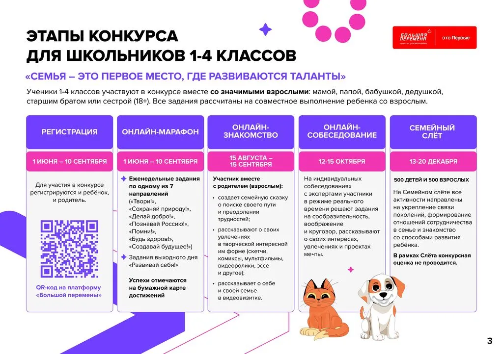 3 24-160_382_25_04_2024_Всероссийский_конкурс__Большая_Перемена__5_сезон_page-0003
