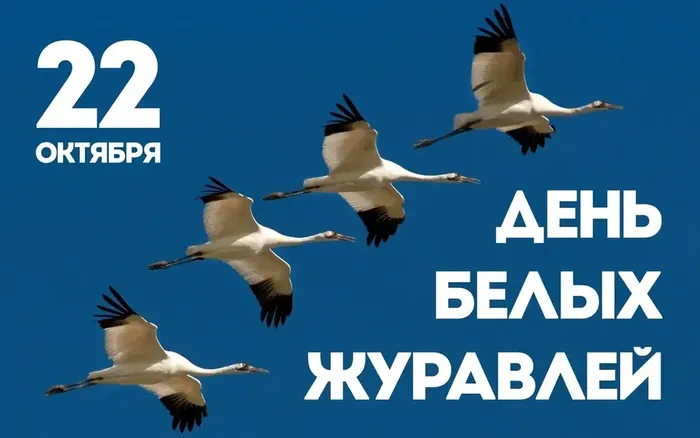 B44357E6-D77A-4F8C-A514-FA36BA86AD9F
